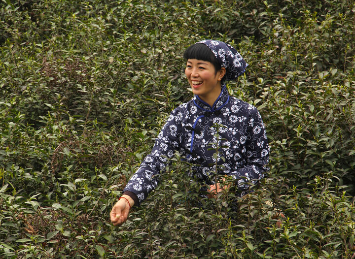 新月直播改名后叫什么 热门推荐